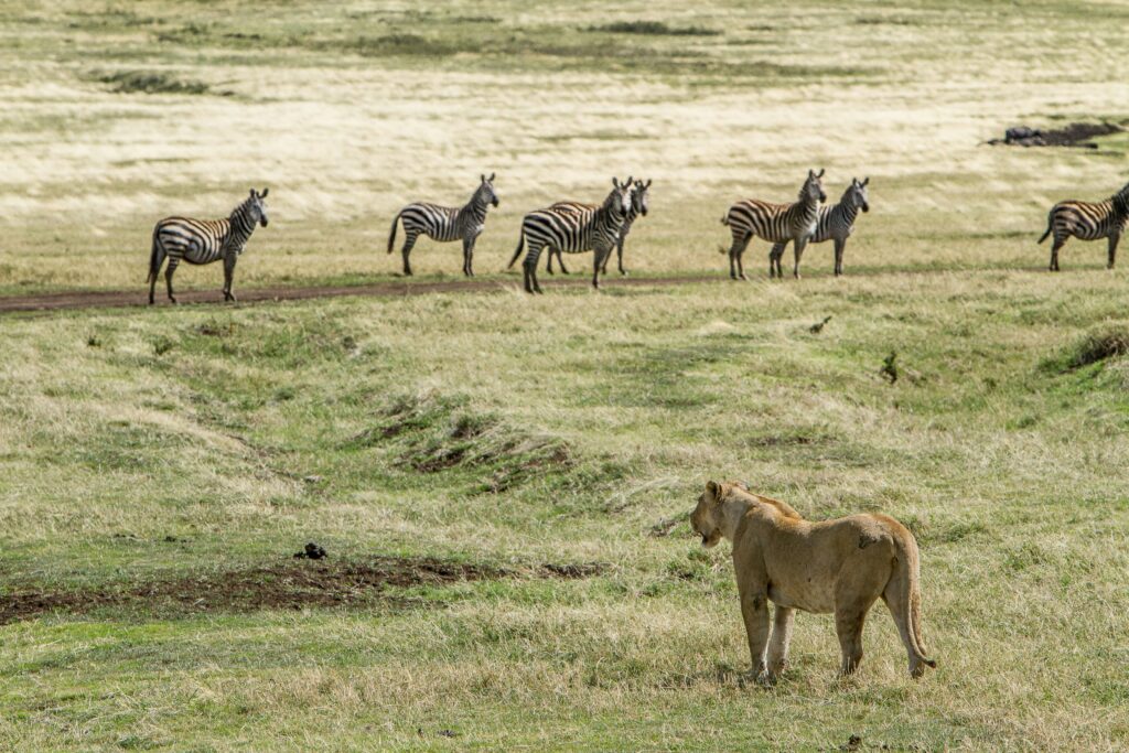 The Best Places to Visit in Tanzania
