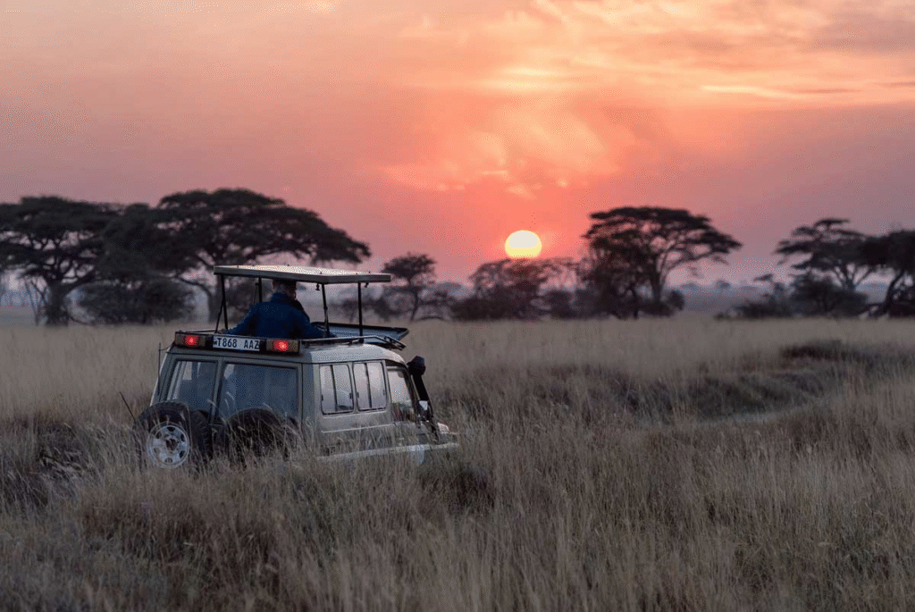 What About the Tourism Sector in Tanzania?