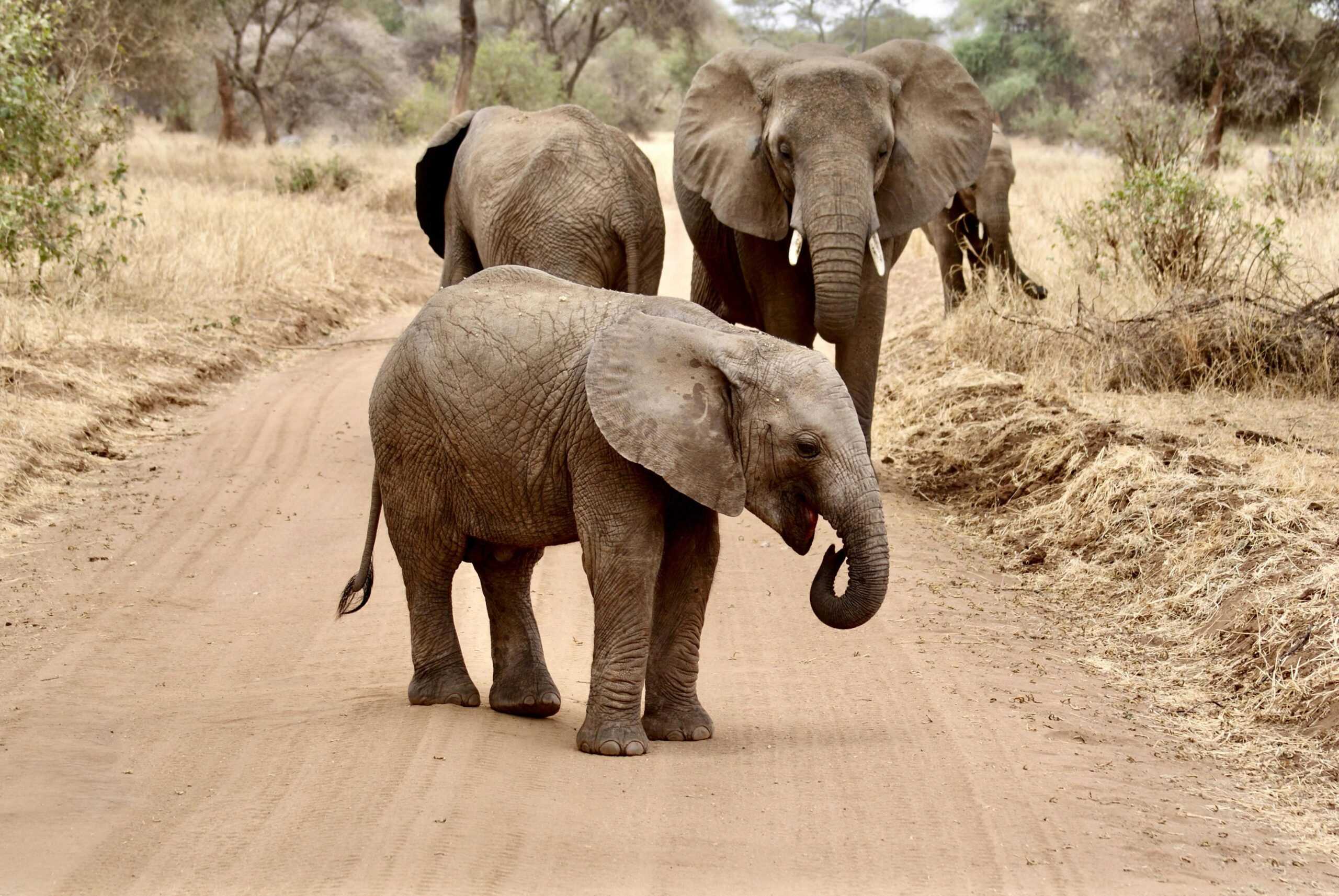 The Best Places to Visit in Tanzania