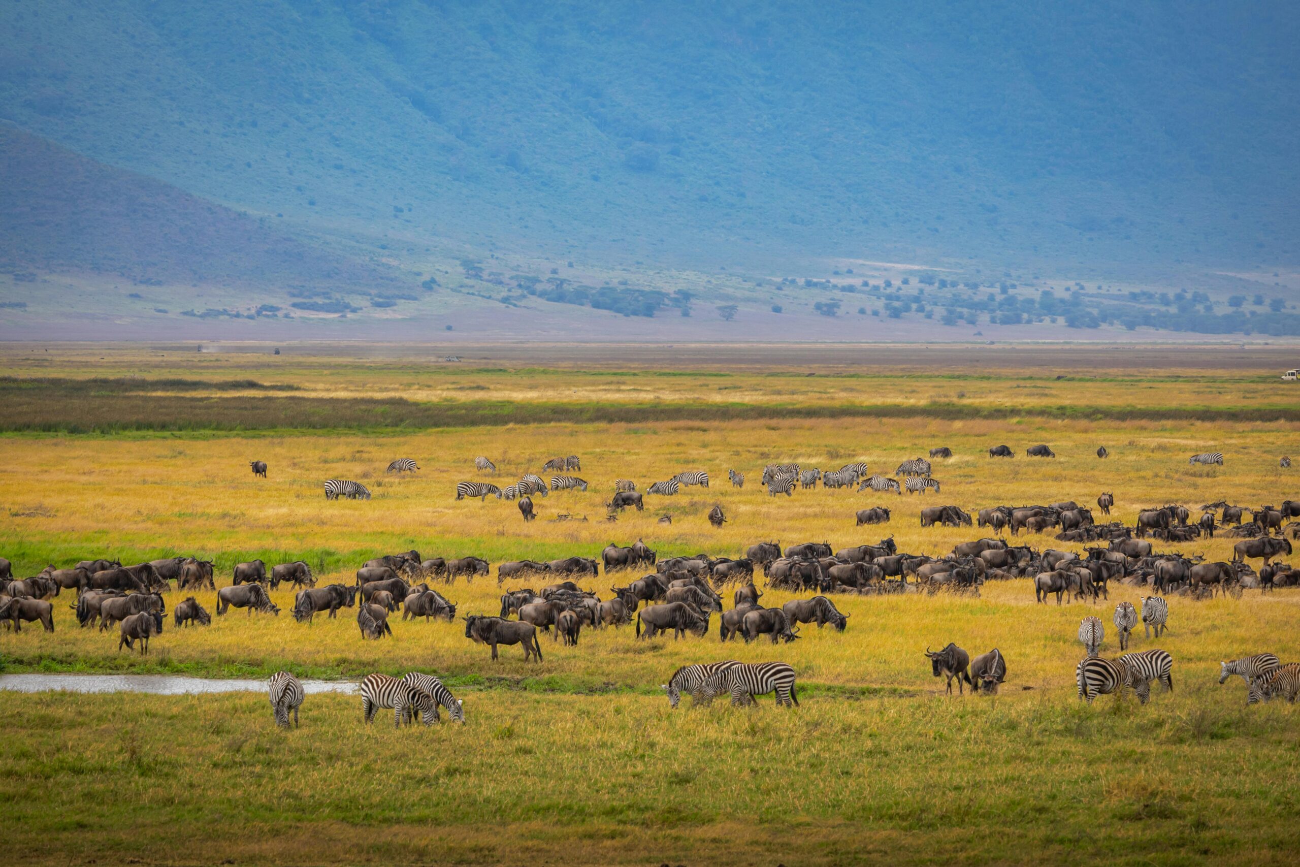 The Best Places to Visit in Tanzania