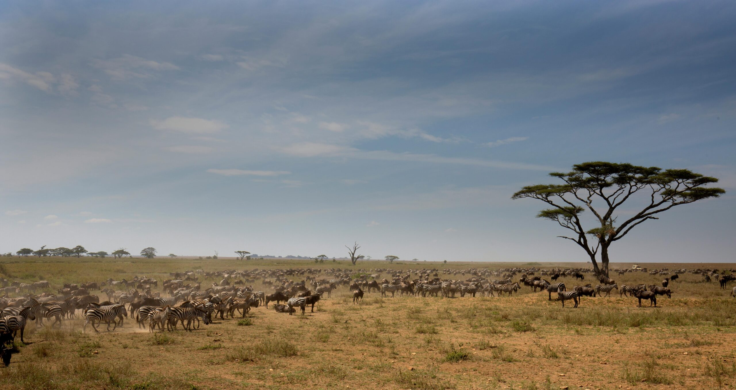 The Best Places to Visit in Tanzania