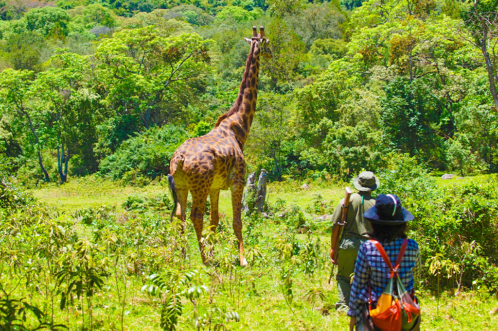Best Places To Visit In Arusha City