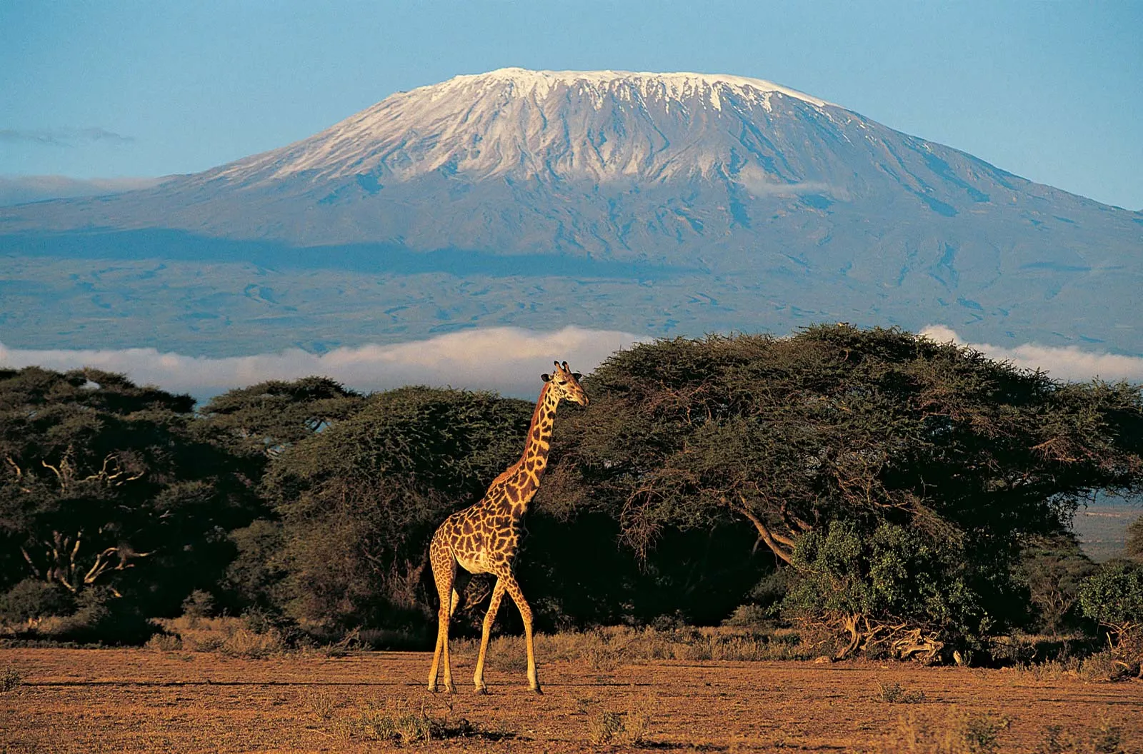 Best time to visit mountain Kilimanjaro 2025-2026