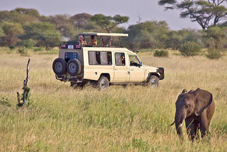 Best Tanzania Budget Safari 2025-2026: Latest Updates and Travel Guide