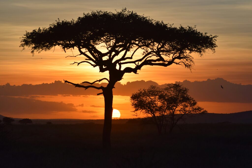 Tanzania Uniqueness