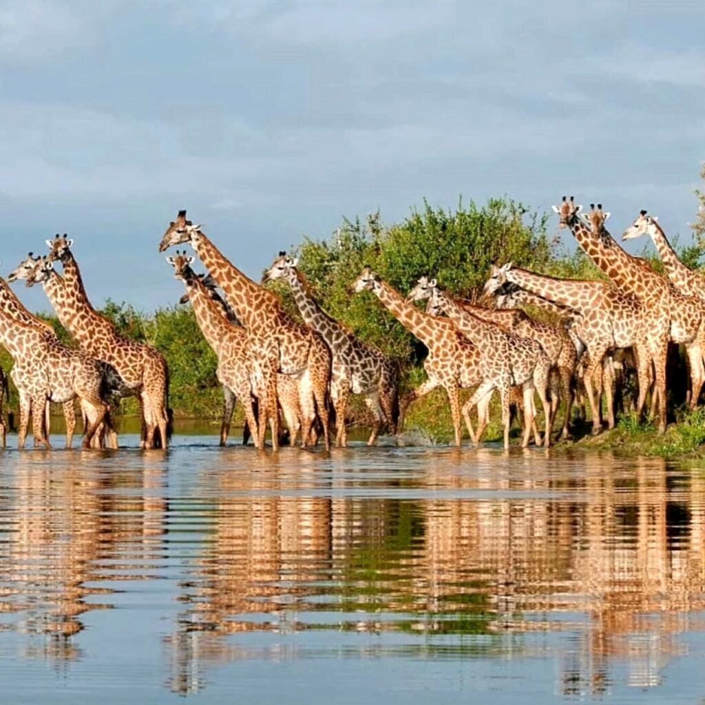Best Things to Do and See