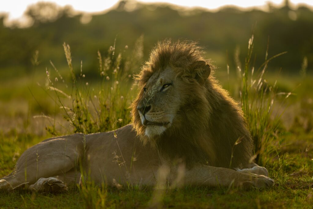 Best time to visit Tanzania 2025-2026