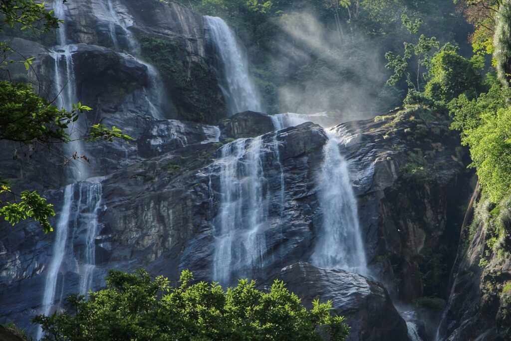 The Wonders of Gombe Stream National Park.