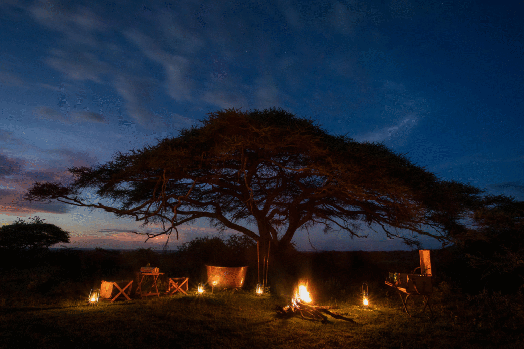 Night Game Drive Safari in Tanzania