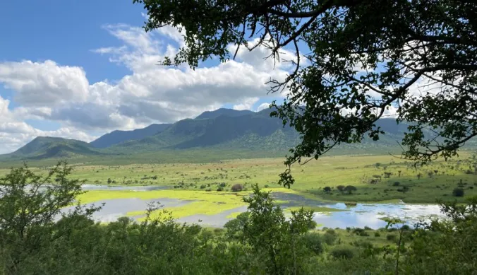 Mkomazi National Park: A Strategic Conservation Landscape in Northern Tanzania