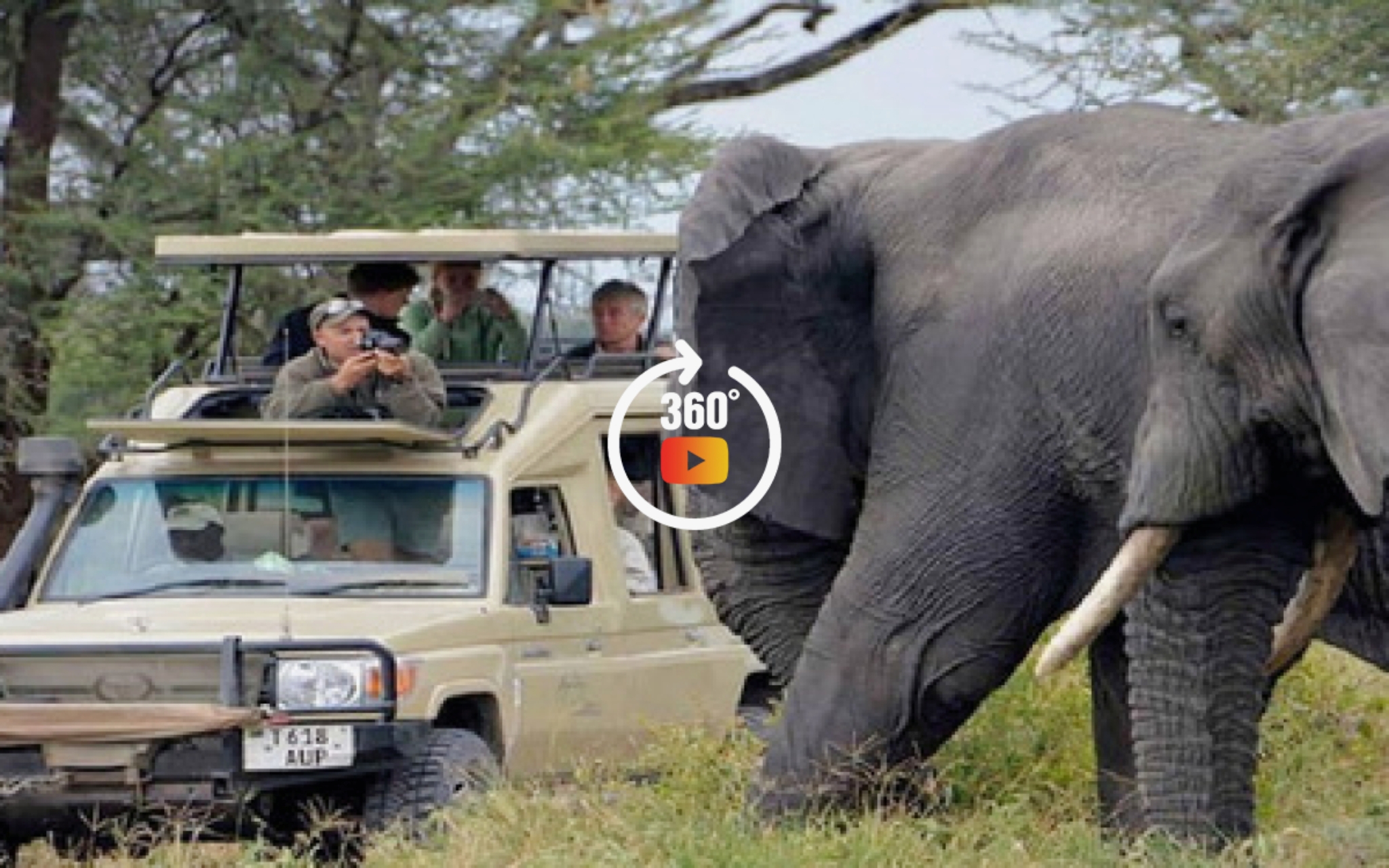 Tradition Meets Technology: How Tanzanians Embrace Change on Safari