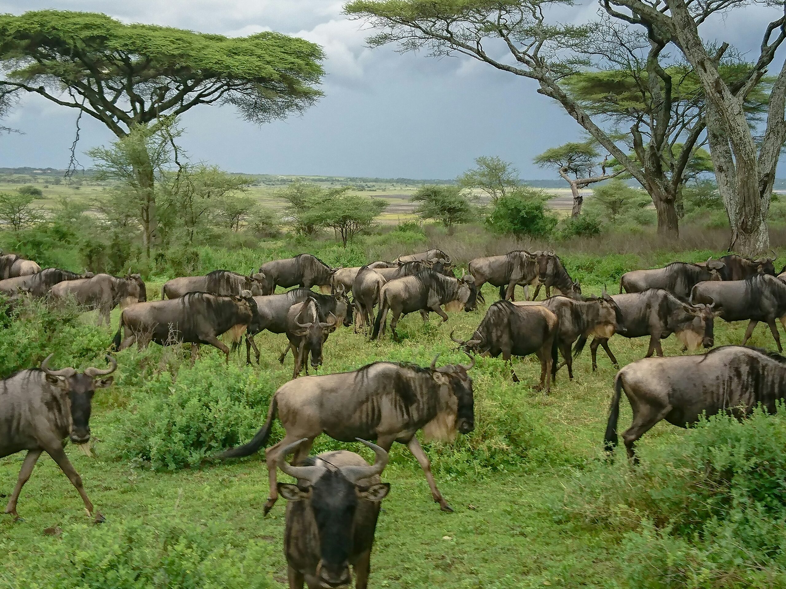 When to Visit Tanzania