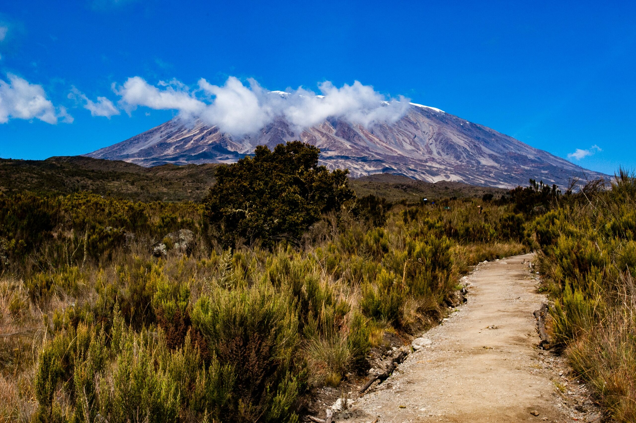 When to Visit Tanzania