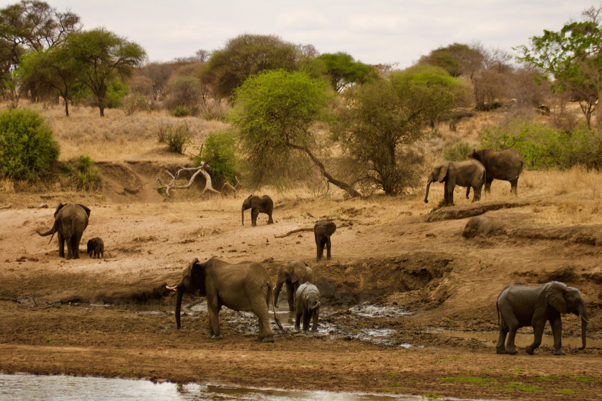 When to Visit Tanzania